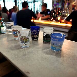 5 Collectors Shot 2 oz. Glasses 4 Texas 1 Louisiana NWOT
